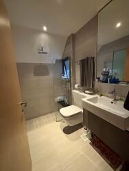 The Creek @ Bukit (D21), Condominium #616023851